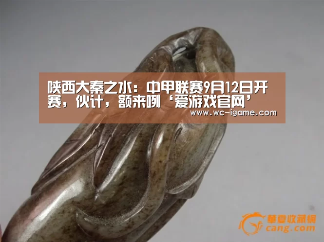 陕西大秦之水:中甲联赛9月12日开赛,伙计,额来咧‘爱游戏官网’(图2) 爱游戏平台
