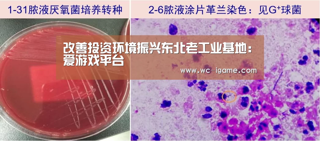 改善投资环境振兴东北老工业基地:爱游戏平台(图1) 爱游戏官网