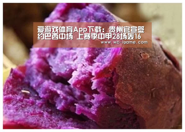 爱游戏体育App下载:贵州官宣签约巴西中场 上赛季中甲28场轰16球+5助攻(图2) 爱游戏官网