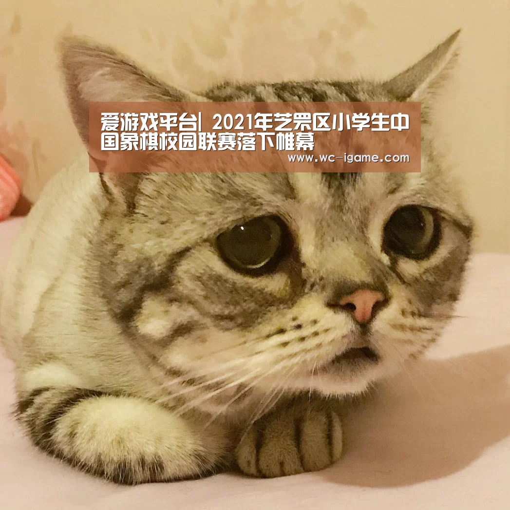 爱游戏平台|
2021年芝罘区小学生中国象棋校园联赛落下帷幕(图2) 爱游戏体育