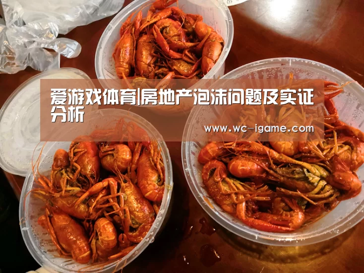 爱游戏体育|房地产泡沫问题及实证分析(图1) 爱游戏体育App下载