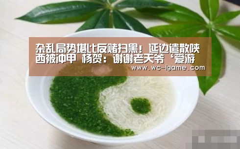 爱游戏平台